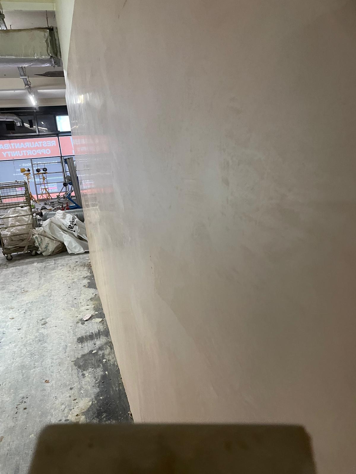 TNA Plastering project photo 5